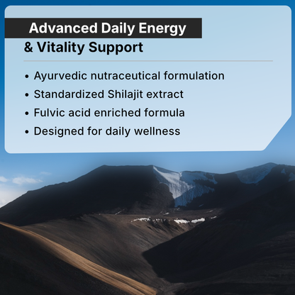 Biotex Nano Shilajit