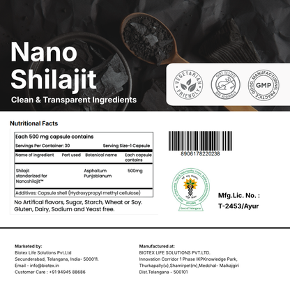 Biotex Nano Shilajit
