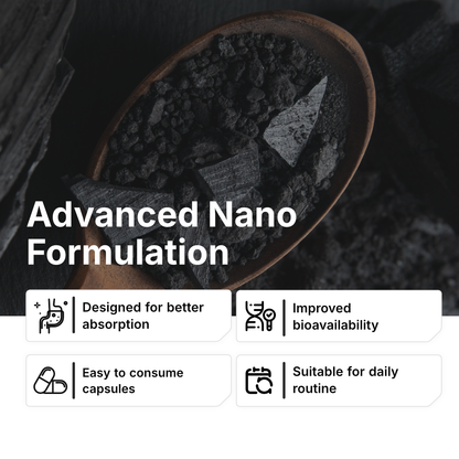 Biotex Nano Shilajit