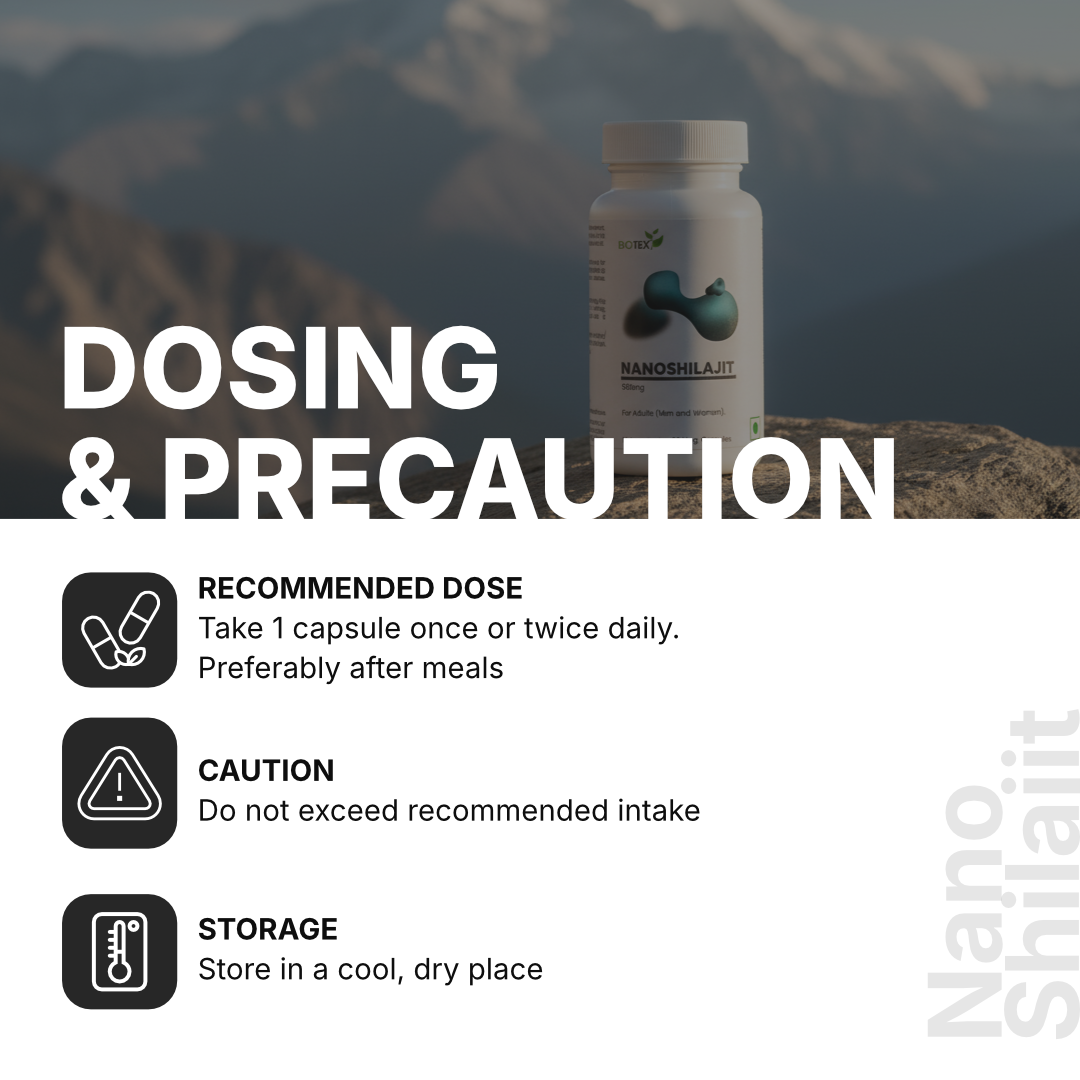 Biotex Nano Shilajit