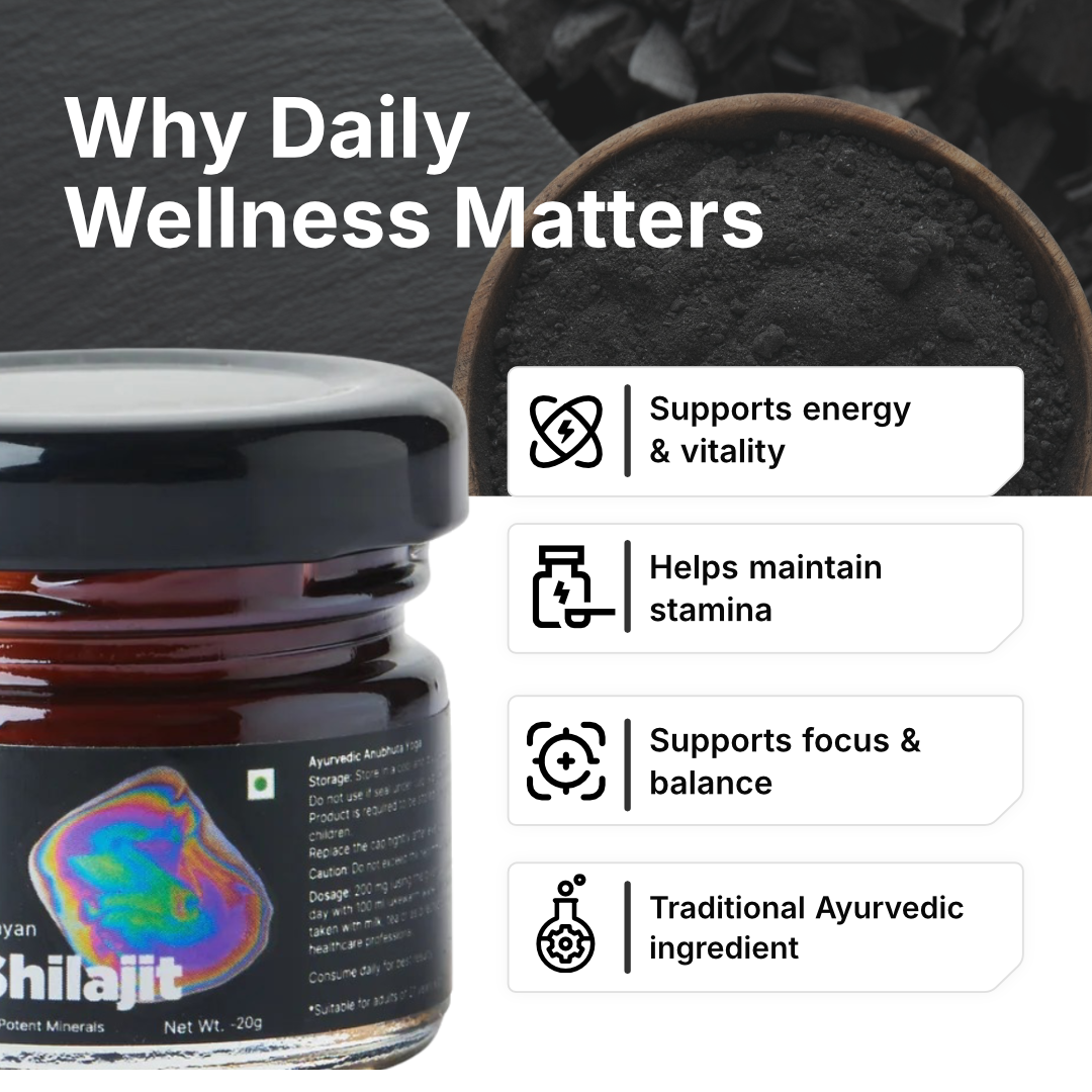 Biotex Shilajit Powder