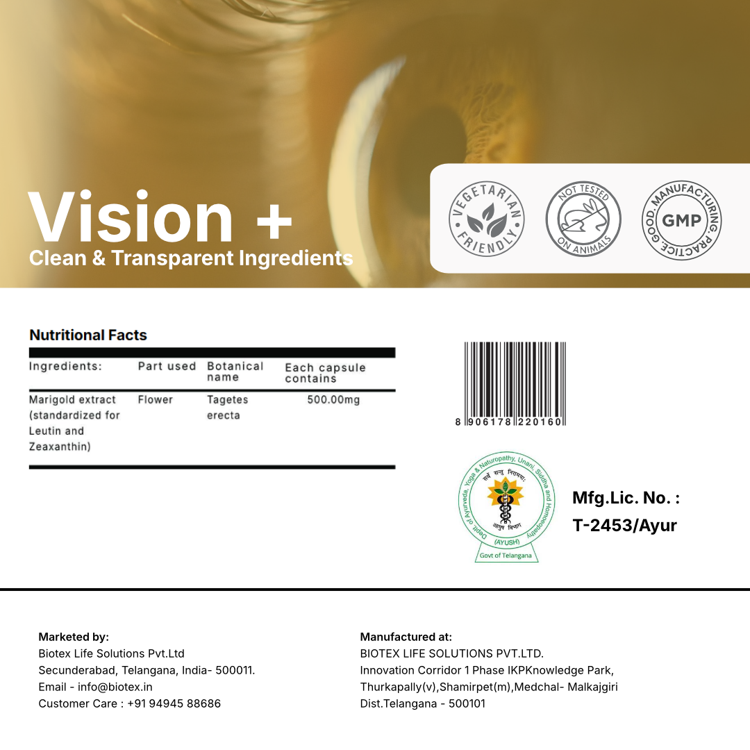 Vision + Capsules