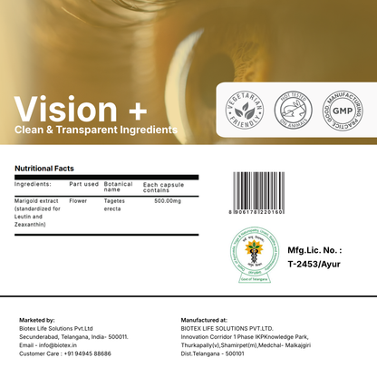 Vision + Capsules